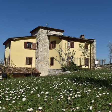 Agriturismo Terra E Sapori Campodipietra エクステリア 写真