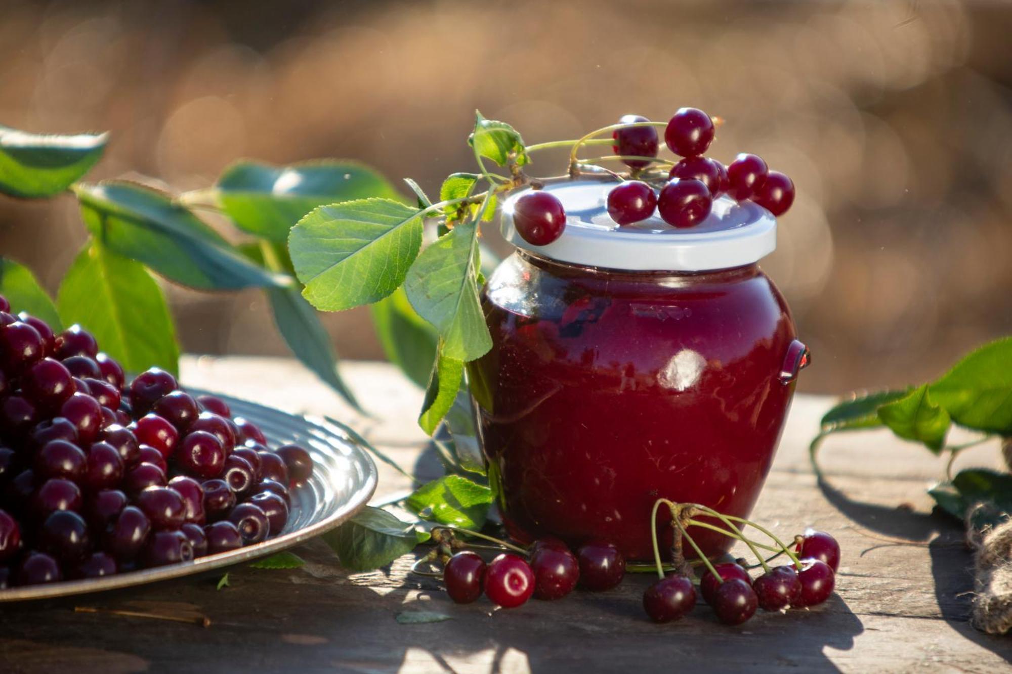 Agriturismo Terra E Sapori Campodipietra エクステリア 写真