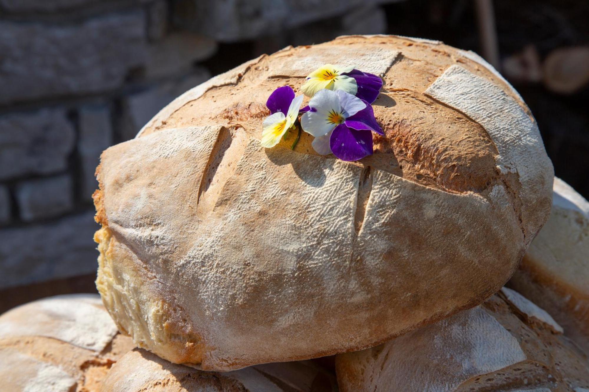 Agriturismo Terra E Sapori Campodipietra エクステリア 写真