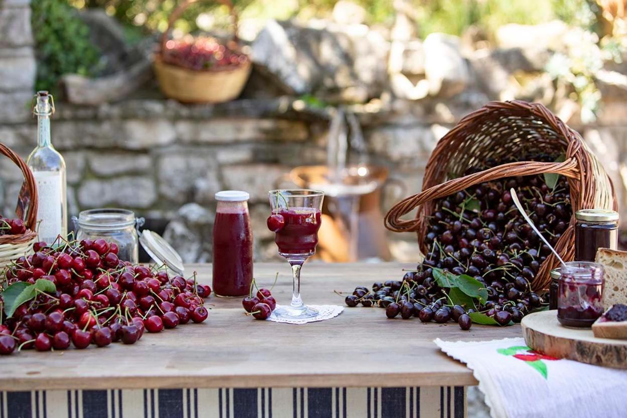 Agriturismo Terra E Sapori Campodipietra エクステリア 写真