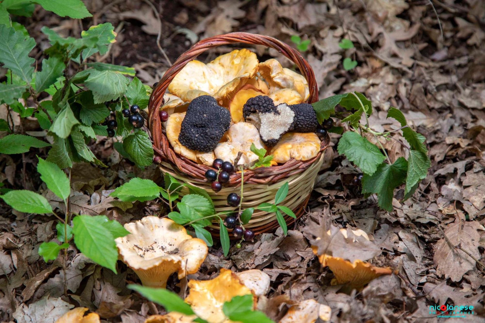 Agriturismo Terra E Sapori Campodipietra エクステリア 写真