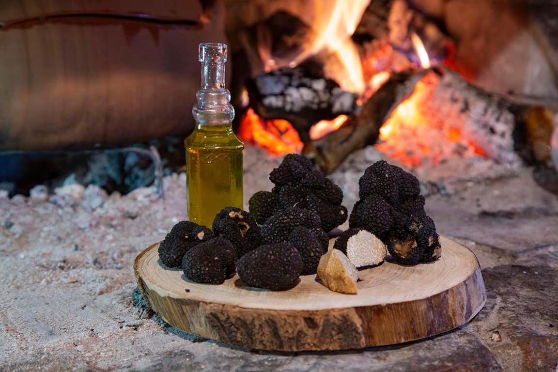 Agriturismo Terra E Sapori Campodipietra エクステリア 写真